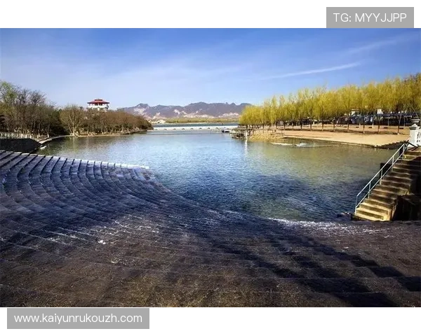 开云体育真人平台不断引入最新的体育赛事内容，满足不同用户的多样化娱乐需求